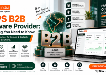 AEPS B2B Software Provider: Everything You Need to Know