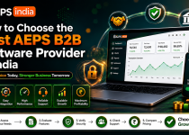 How to Choose the Best AEPS B2B Software Provider in India