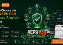 How to Choose the Best AEPS B2B Software Provider in India