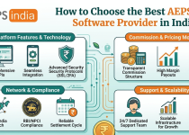 How to Choose the Best AEPS B2B Software Provider in India