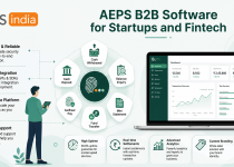 AEPS B2B Software for Startups and Fintech