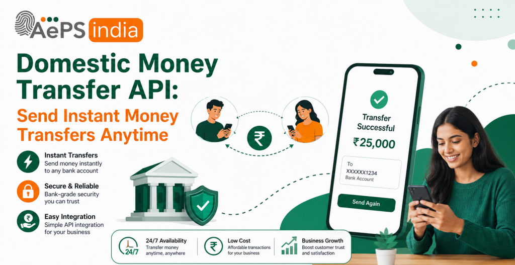 Domestic Money Transfer API: Send Instant Money Transfers Anytime