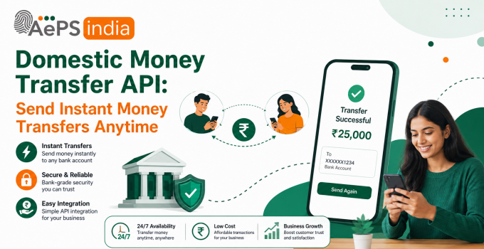 Domestic Money Transfer API: Send Instant Money Transfers Anytime