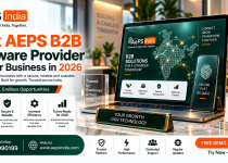 Best AEPS B2B Software Provider for Your Business in 2026