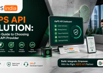 AEPS API Solution: Complete Guide to Choosing the Right API Provider