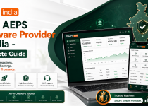 Best AEPS Software Provider in India - Complete Guide