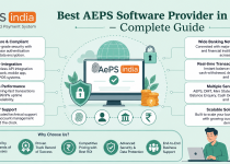 Best AEPS Software Provider in India - Complete Guide