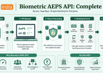 Biometric AEPS API: Complete Guide
