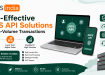 Cost-Effective AEPS API Solutions for High-Volume Transactions