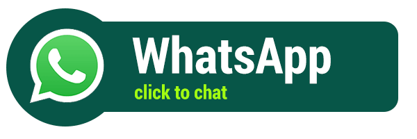 CHAT WITH WHATS APP