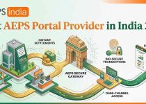 Best AEPS Portal Provider in India 2026