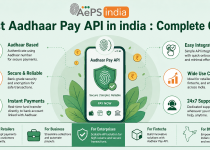 Best Aadhaar Pay API in india : Complete Guide