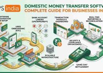 Domestic Money Transfer Software: Complete Guide for Businesses in India