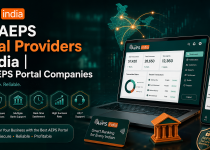 Top AEPS Portal Providers in India | Best AEPS Portal Companies