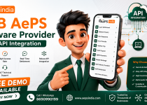 B2B AePS Software Provider with API Integration