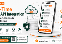 Real-Time AEPS API Integration for Fintech, Banks & B2B Platforms