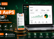 What Is a B2B AePS Portal? Features, Benefits & Business Opportunities