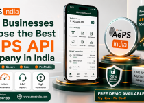 Why Businesses Choose the Best AEPS API Company in India