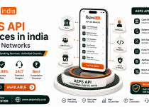 AEPS API Services in india for B2B Networks
