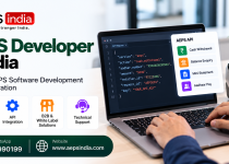 AEPS Developer in India – Custom AEPS Software Development & API Integration
